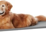 Amazon Basics – Perro Cama elevada refrescante para mascotas, Large, 130 x 80 x 19 cm (L x An x Al), Gris
