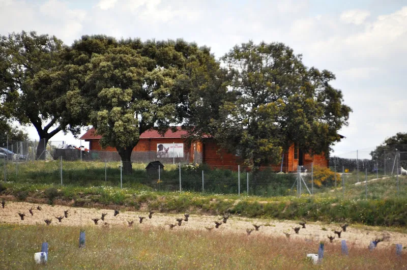 Campamento de mascotas con cabañas cercadas y árboles en paisaje rural