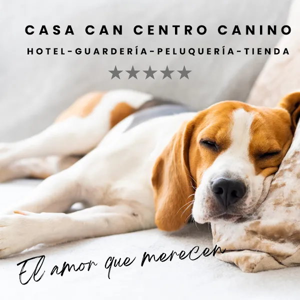 casa can centro canino