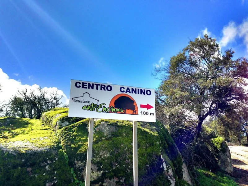 centro canino entrencinas