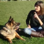 centro canino gufy residencia canina