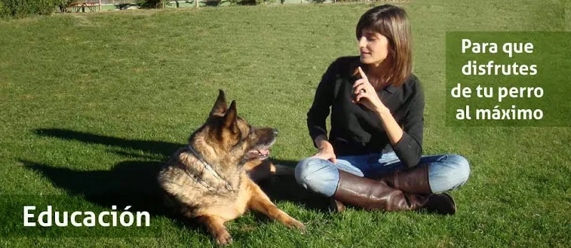 centro canino gufy residencia canina