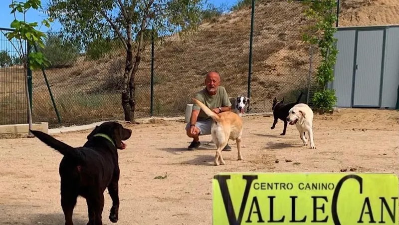 centro canino vallecan
