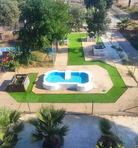 Club/Hotel canino Mascout en Cáceres