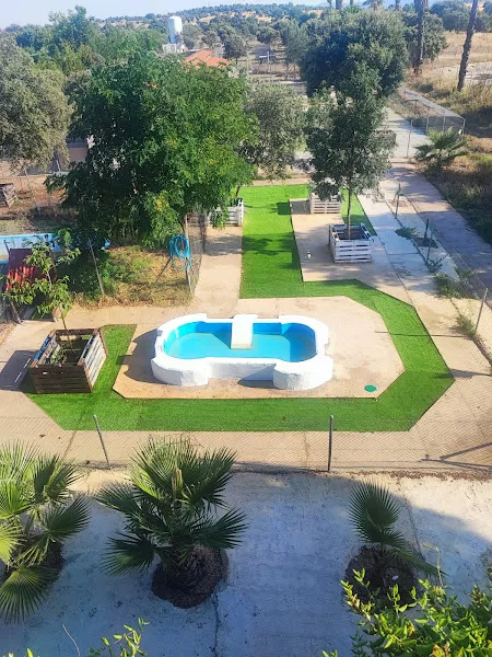 club hotel canino mascout