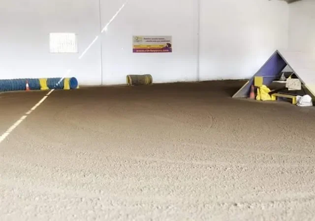 Escuela Canina Rio-Hoppers