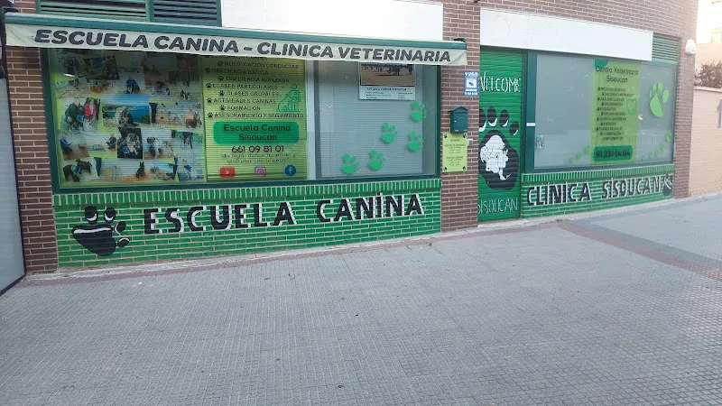 escuela canina sisou