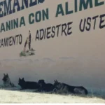 escuela de adiestramiento garal