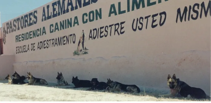 Varios pastores alemanes descansando frente a un muro con pintura publicitaria de escuela de adiestramiento garal