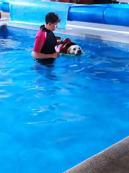 escuela residencia canina narub