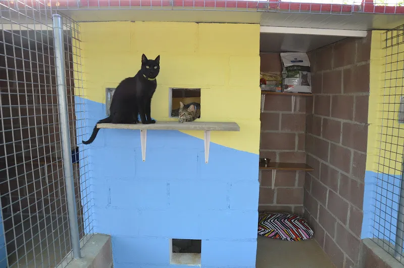 granja la luna residencias caninas en madrid