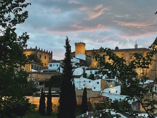 harpocan labradores en Plasencia (Cáceres)