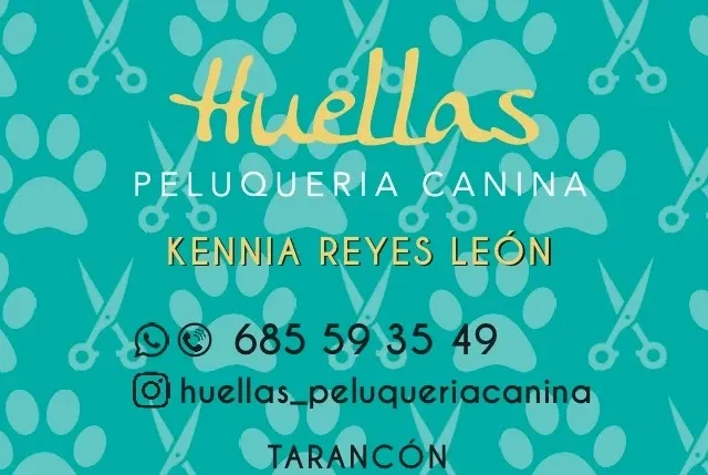 HUELLAS PELUQUERIA Y GUARDERÍA CANINA en Tarancón (Cuenca)