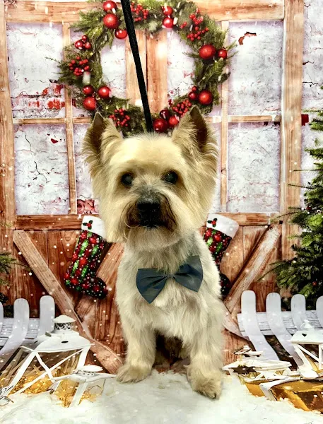 la caseta pet shop veterinaria y peluqueria