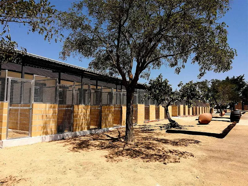Cheniles exteriores con rejas y árboles que dan sombra en la martina residencia canina