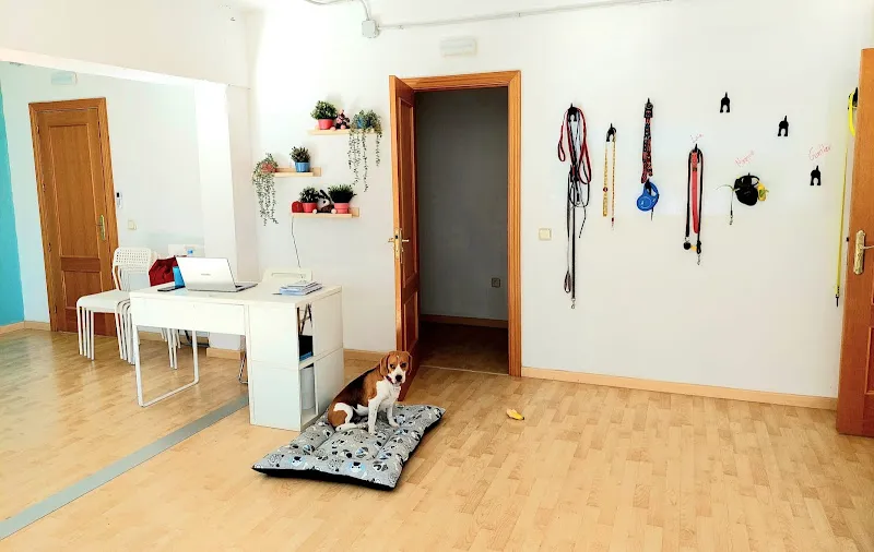 la petucasa guarderia canina
