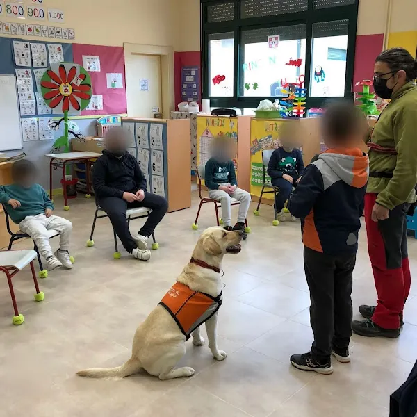 mi perro sabe
