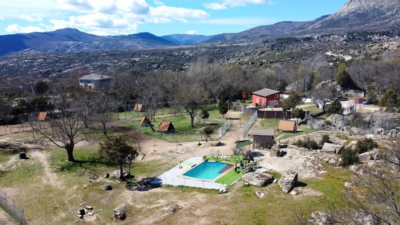 nubomi campamento canino