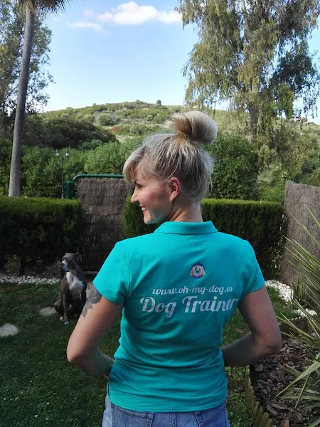 oh my dog training adiestramiento canino