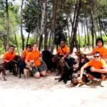 Grupo de cuidadores con camisetas naranjas y varios perros en área arbolada pulygar servicio integral de mascotas