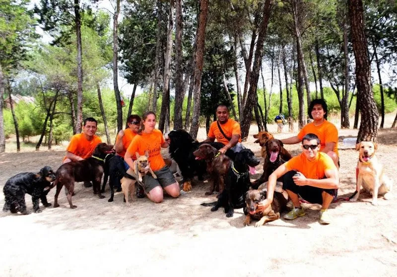 pulygar servicio integral de mascotas