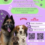 Cuatro perros frente a un cartel promocional de la residencia canina d aquivelt que muestra servicios de hotel, guardería y peluquería