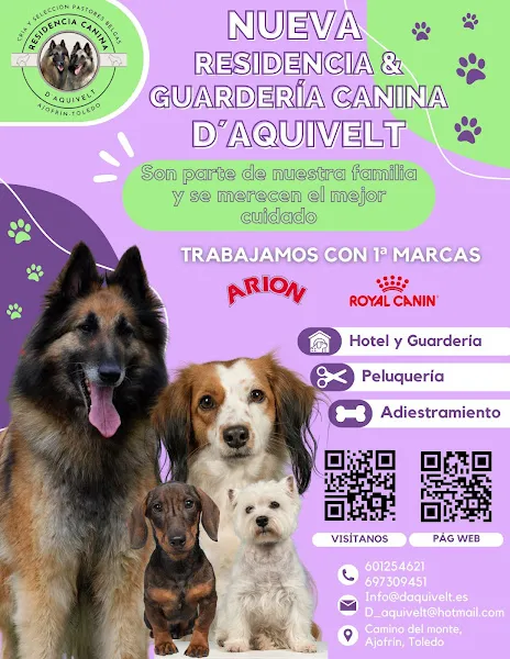 Cuatro perros frente a un cartel promocional de la residencia canina d aquivelt que muestra servicios de hotel, guardería y peluquería