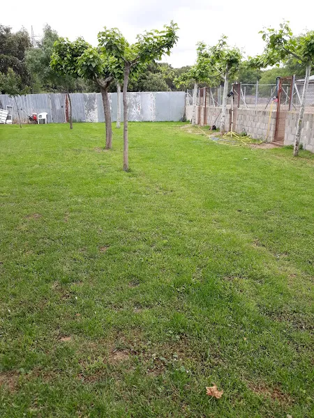 residencia canina el cerrolen