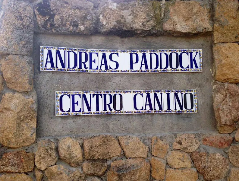 residencia canina madrid andreas paddock