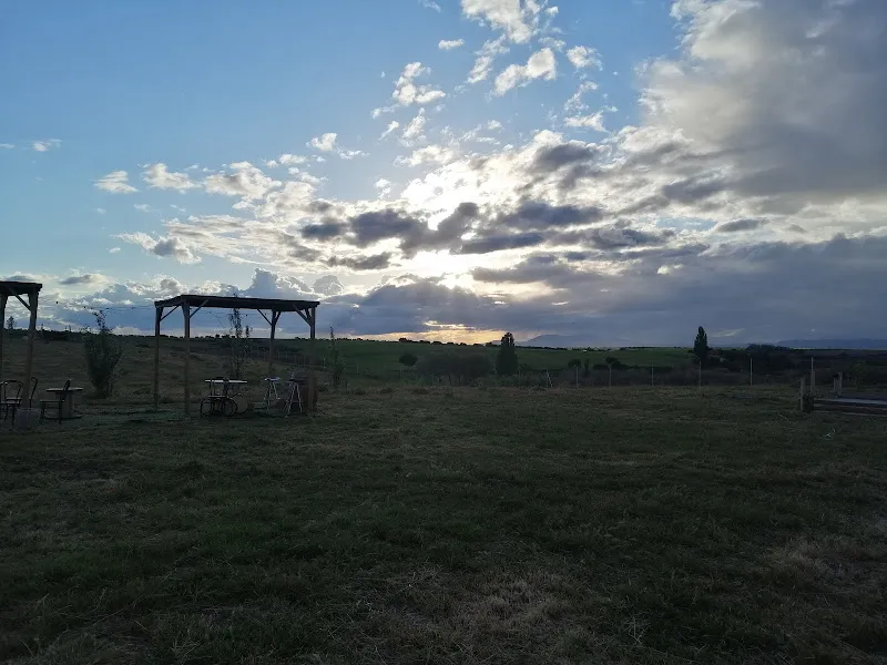 Campo con césped, pérgolas y mesas al atardecer en la residencia canina y centro de ocio alanos de toletum
