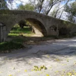 residencia canina y equina babieca