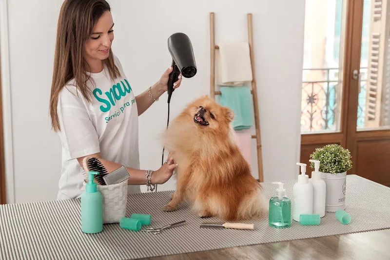 snau peluqueria y guarderia canina