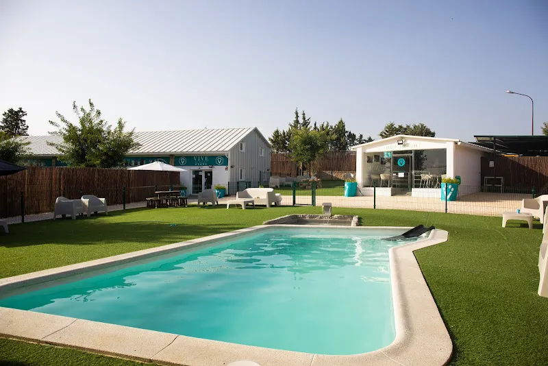 vive resort para mascotas